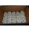 1kg Small Package White Garlic thumbnail-1