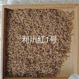 Supply Hubei Enshi Black Tea Selenium Rich Black Tea Lichuan Black Organic Black Tea Spring Tea thumbnail-5