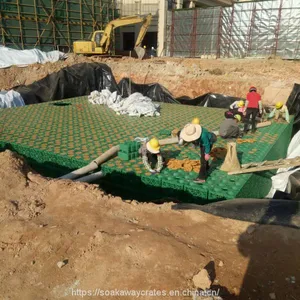 DIY Rainwater Collection System thumbnail-1