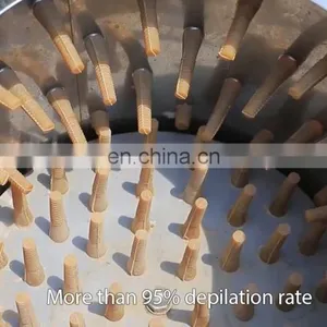 TM-50 Home Use Chicken Slaughter Line Slaughter House Slaughtering Tool for Sale in Turkey thumbnail-1