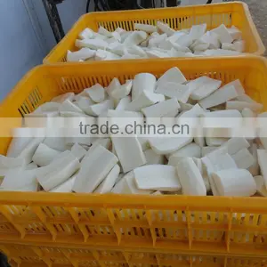 Best Price Cassava Root From Vietnam/ Fresh Tapioca thumbnail-1
