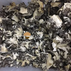 Dehydrated Dried Maitake Mushroom Grifola Frondosa thumbnail-1