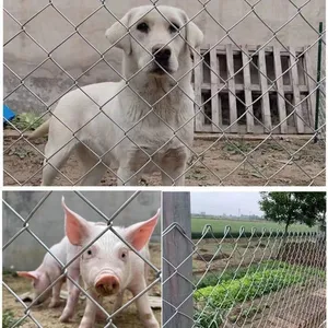 Hot-dip Galvanized Steel Wire Mesh, Animal Fence thumbnail-2