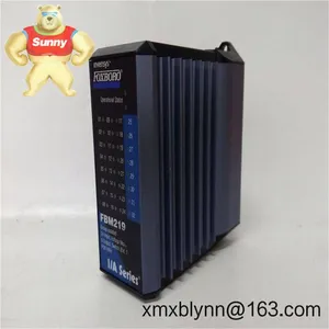 Foxboro FBM219 (P0916RH) Discrete Input/Output Interface Module – Compact Digital I/O for I/A Series DCS thumbnail-2