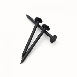 Black Wire Nails Q195 for Wooden Pallet Assembly and Fencing thumbnail-3