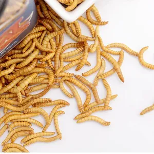 New Kind Fish Feed Made of Eco Fresh Mealworm thumbnail-3
