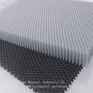 High-strength Plastic Polypropylene pp Honeycomb Core Board thumbnail-1