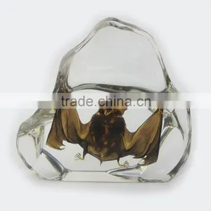 2016 New Design Wholesale Promotional Gift Desk Decoration With Real Insect Bat thumbnail-2