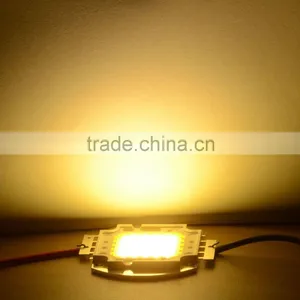 10W 20W 30W 50W 100W LED Bead Chip for High Power DIY LED Floodlight Lamp Spot Light Integrated COB LED Beads With IP66 Driver thumbnail-6