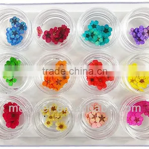 Mini Bead for Real Flower Nail Art 2013 thumbnail-1