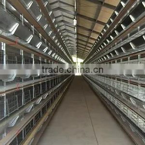 Automatic Hot Galvanized Farming Broiler Cage for Nigeria thumbnail-3