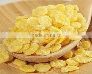 Automatic Wholesome Breakfast Cereal-Corn Flakes Production Line thumbnail-6