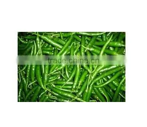 Green Chilli thumbnail-1