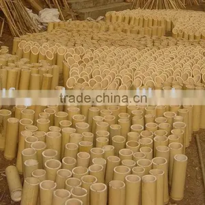 Bamboo Stake - Tonkin Cane thumbnail-1