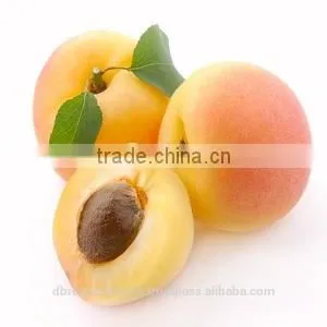 Apricot Oil (From Apricot Kernel) thumbnail-1