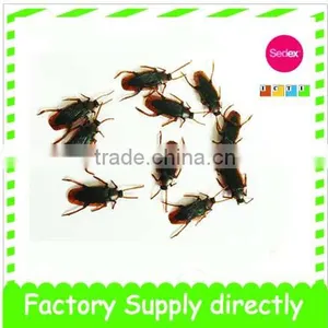Halloween Props China, Cockroach Toy thumbnail-1