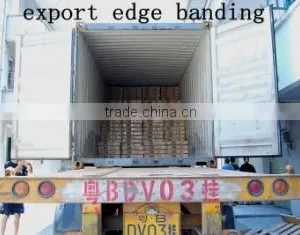 Dongguan Tian Hao Plastic&Metal Products Co., Ltd. company overview - view 3 thumbnail