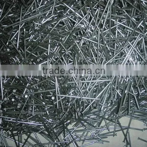 Common Nail thumbnail-3