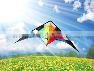 Dual Line Delta Stunt Kites - Curved Edge Kites thumbnail-1