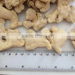 Dried Whole Ginger,peeled thumbnail-1