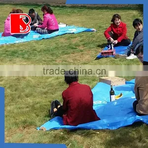 Waterproof PE Tarpaulin PE Plastic Eyelets Tarpaulin PE Sheet Tarpaulin Cover Polyethylene Woven thumbnail-6