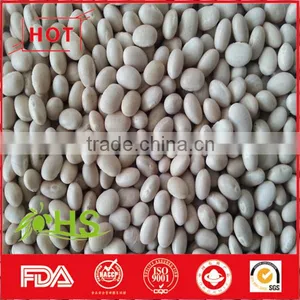 Hot Sale White Kidney Beans From China thumbnail-4