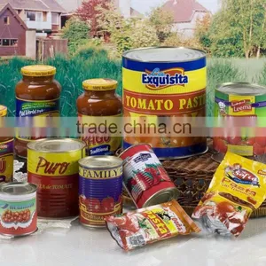 High Quality Tomato Paste /sauce in Can /pouch /jar /tube Canned Tomato Sauce thumbnail-1