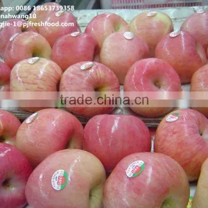 2016 Fresh Fuji Apple thumbnail-1