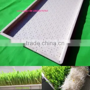 Perfect Garden Plant Growing Trays (Drain Holes) 85*40*4cm thumbnail-1
