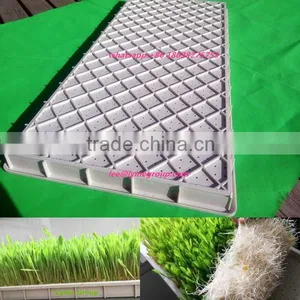 Good Price New Style Plastic Propagation Nursery Tray thumbnail-1