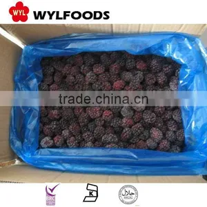 Chian Fruite Frozen IQF Black Berry thumbnail-3