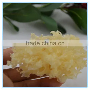 Dried White Jelly Fungus Manufacturer thumbnail-3