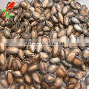 Raw Watermelon Seeds Sale in Different Size thumbnail-1