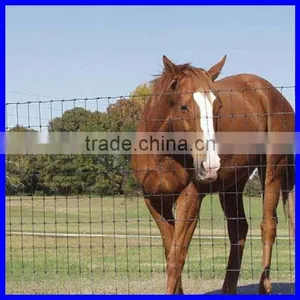 DM Hot Sale HDG High Quality Field Fence ( Anping Factory ) thumbnail-2