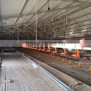 10% Discount Hot Sale Animal Husbandry Equipment for Breeder thumbnail-2