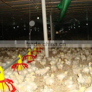 Height Adjustable Automatic Auger Broiler Pan Feeding System thumbnail-4