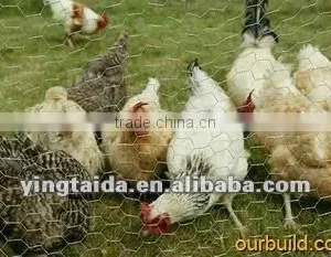 Galvanized Hexagonal Wire Mesh/chicken Wire Mesh/poultry Mesh thumbnail-1