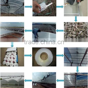Clear Polycarbonate Sheet With Foldable Shading Net Greenhouse For Vegetables thumbnail-1