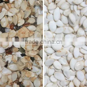 China Manufacture Automatic Agricultural Seed Color Sorter Machine With Competitive Price thumbnail-3