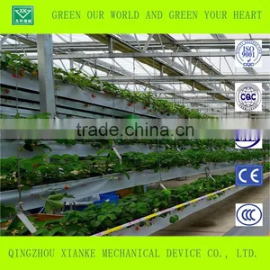 Multispan Plastic Film Greenhouse for Tomato Cucuber Flower Horticulture thumbnail-2