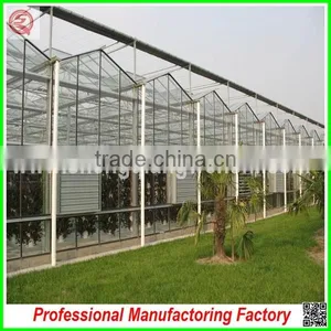 Hot Sale Multi-span Glass 9.6m Agriculture Greenhouse for Vegetables thumbnail-5
