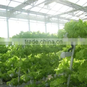 Flower Planting Hydroponic System/Hydroponic Garden thumbnail-1