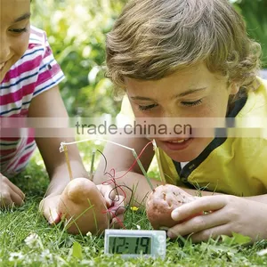 Environmental Supply Electric Potato Digital Clock, DIY Creative Alarm Clock thumbnail-2