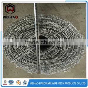 Improved Stainless Steel Barbed Wire thumbnail-2
