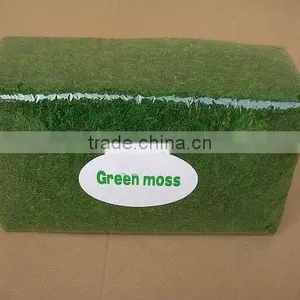 Green Moss thumbnail-1