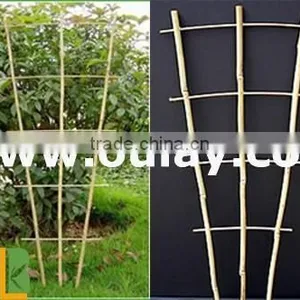 Garden Bamboo Trellis for Flower and Fruit for Wholesale thumbnail-3