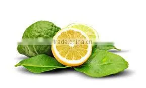 Bergamot Oil thumbnail-3