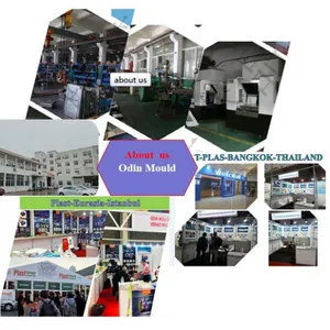 Odin Mould&Plastic Co.,Ltd company overview - view 2 thumbnail