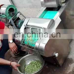 Multi-function Leaf Vegetable Spinach Cutting Machine / Vegetable Cutter / Loofah Slicer thumbnail-1