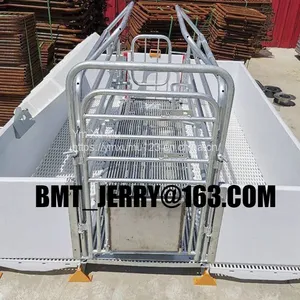 Hot Dip Galvanized Customized Size Sow Farrowing Cage for Swine Farm thumbnail-3